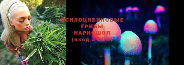 2c-b Верея