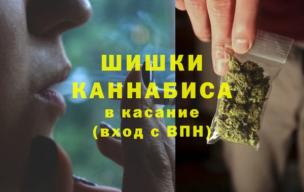 индика Верхний Тагил
