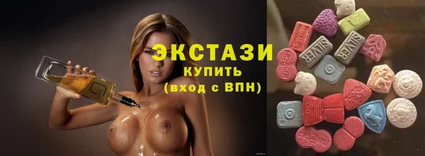 индика Верхний Тагил