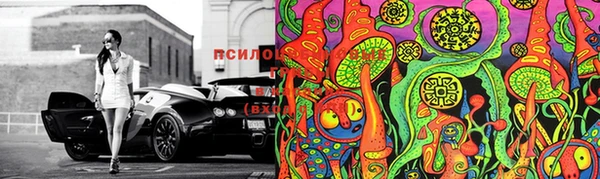индика Верхний Тагил