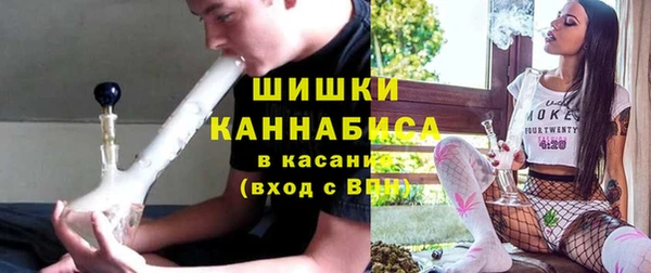индика Верхний Тагил