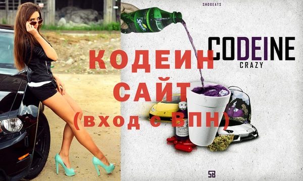 индика Верхний Тагил