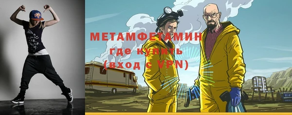 индика Верхний Тагил