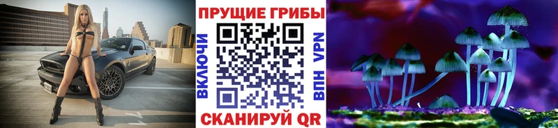 Купить где  Аша  Галлюциногенные грибы ЛСД 